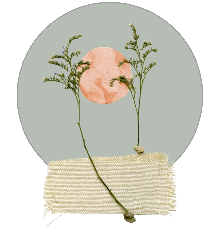 Decorative graphic of plants and a sun